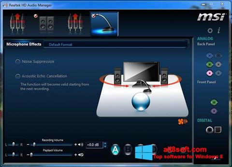 Screenshot Realtek Audio Driver for Windows 8