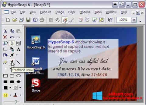 Screenshot HyperSnap for Windows 8