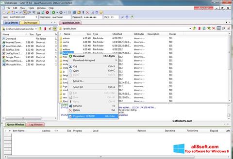 Screenshot CuteFTP for Windows 8
