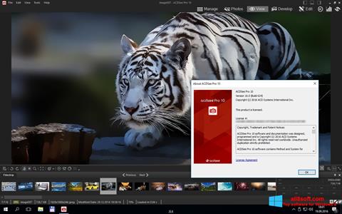 Screenshot ACDSee Pro for Windows 8