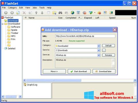 Screenshot FlashGet for Windows 8