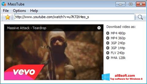 Screenshot MassTube for Windows 8