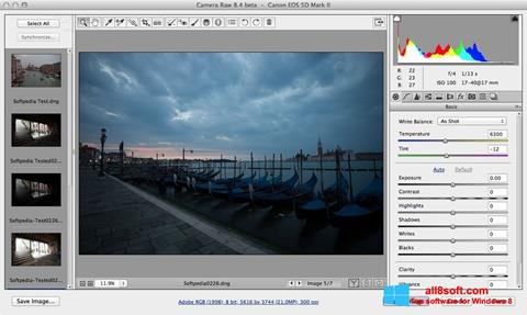 Screenshot Adobe Camera Raw for Windows 8