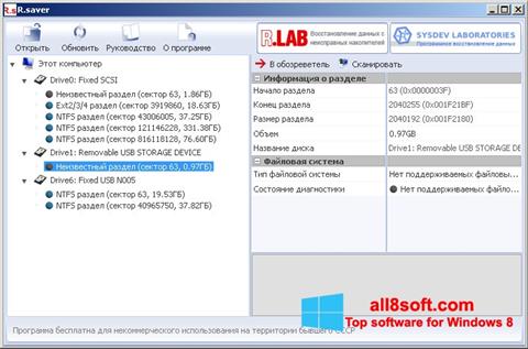 Screenshot R.saver for Windows 8