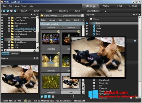 Screenshot ACDSee Photo Manager for Windows 8