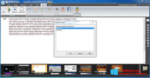 Screenshot Snagit for Windows 8