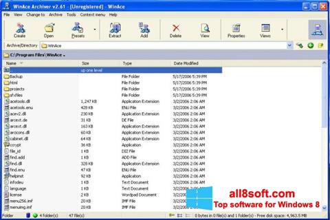Screenshot WinAce for Windows 8