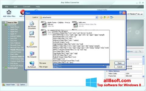 Screenshot Any Video Converter for Windows 8