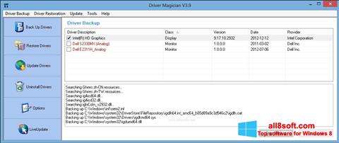 Screenshot Driver Magician for Windows 8