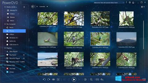 Screenshot PowerDVD for Windows 8