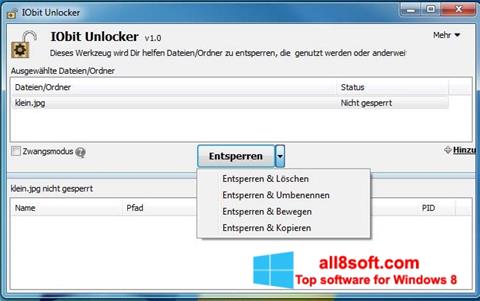 Screenshot IObit Unlocker for Windows 8