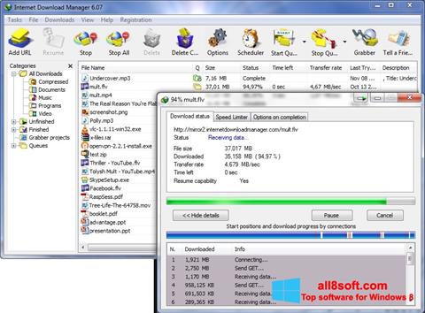 Screenshot Internet Download Manager for Windows 8
