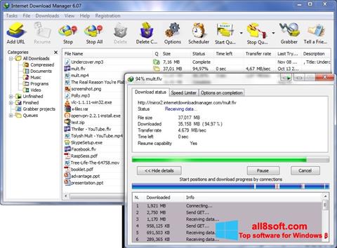  Download Internet Download Manager for Windows 8 32 64 