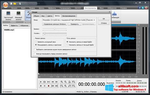 Screenshot AVS Audio Editor for Windows 8