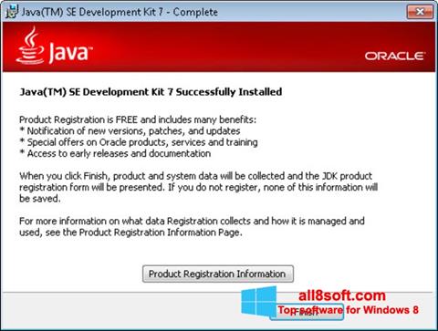 Screenshot Java for Windows 8