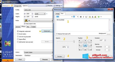 Screenshot Light Image Resizer for Windows 8
