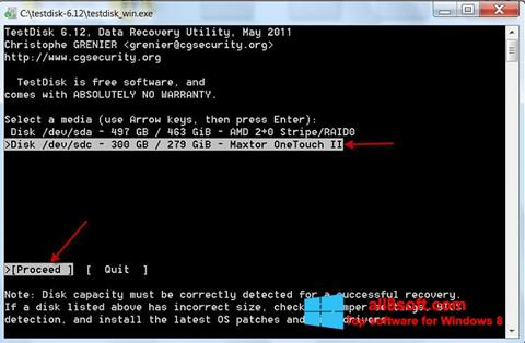 Screenshot TestDisk for Windows 8