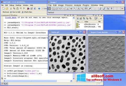 Screenshot ImageJ for Windows 8