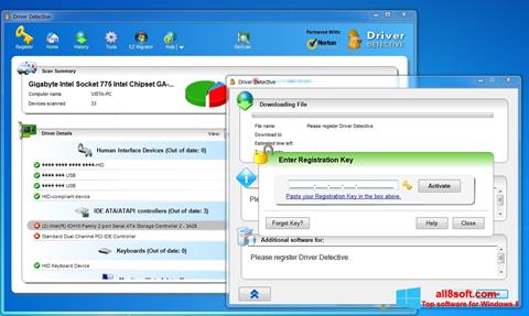 Screenshot Driver Detective for Windows 8