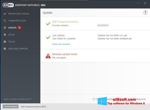 Screenshot ESET Endpoint Antivirus for Windows 8