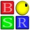 BSR Screen Recorder for Windows 8