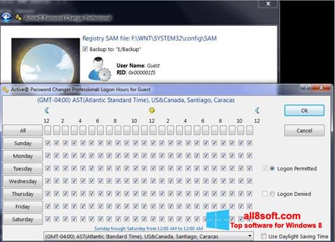Screenshot Active Password Changer for Windows 8