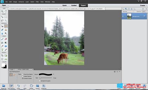Screenshot Photoshop Elements for Windows 8