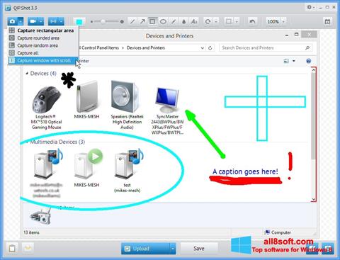 Screenshot QIP Shot for Windows 8