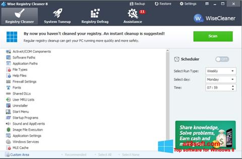 Screenshot Wise Registry Cleaner for Windows 8