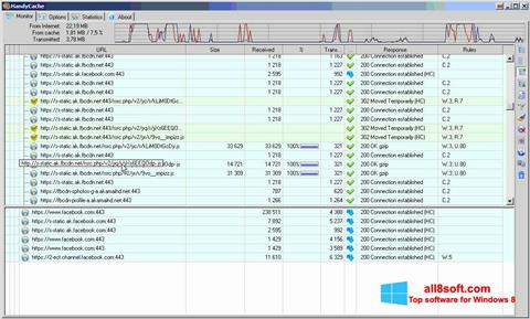 Screenshot HandyCache for Windows 8