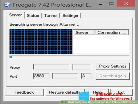 Screenshot Freegate for Windows 8