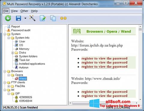 Screenshot Multi Password Recovery for Windows 8