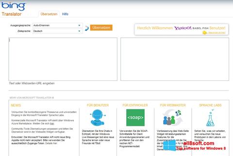 Screenshot Bing Translator for Windows 8