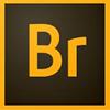 Adobe Bridge for Windows 8