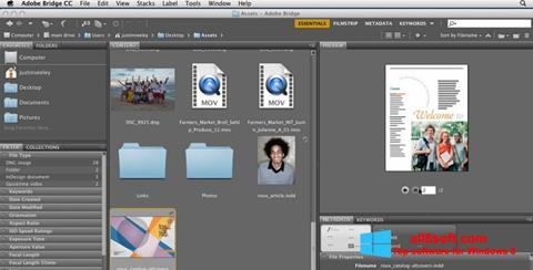 Screenshot Adobe Bridge for Windows 8