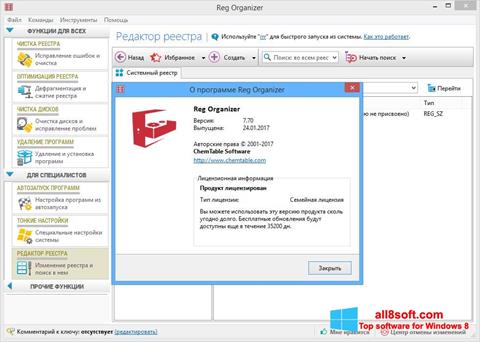 Screenshot Reg Organizer for Windows 8