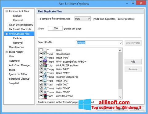 Screenshot Ace Utilities for Windows 8