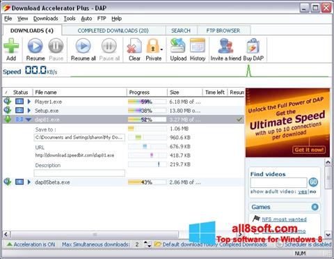 Screenshot Download Accelerator Plus for Windows 8