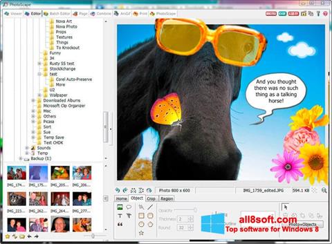 Screenshot PhotoScape for Windows 8