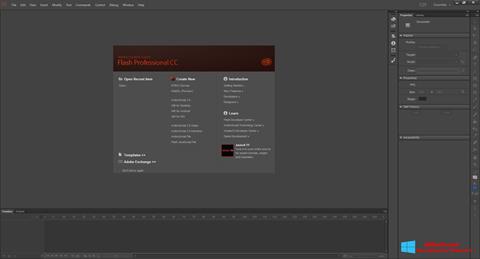 Screenshot Adobe Flash Professional for Windows 8