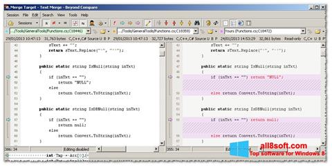 Screenshot Beyond Compare for Windows 8