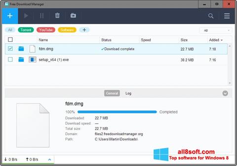 Screenshot Free Download Manager for Windows 8