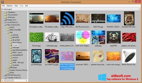 Screenshot IrfanView for Windows 8