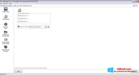 Screenshot BadCopy Pro for Windows 8