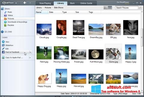 free realplayer downloader for windows 7