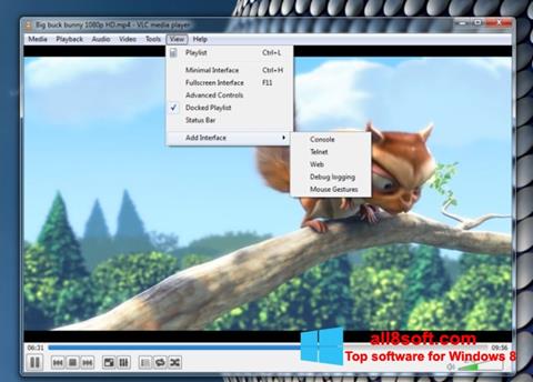 Screenshot VLC Media Player for Windows 8